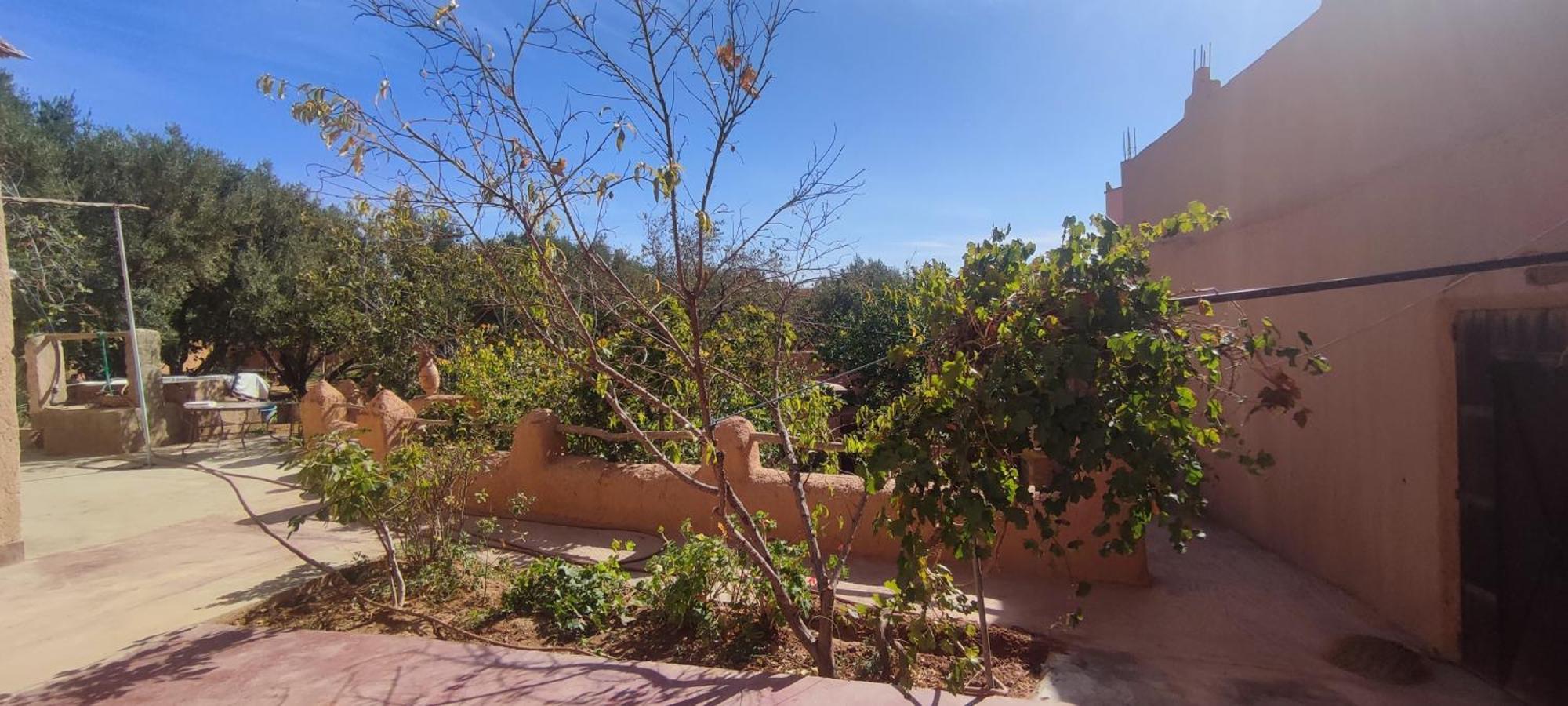 Ecolodge Miss Rose Chez La Famille Boumalne Dış mekan fotoğraf