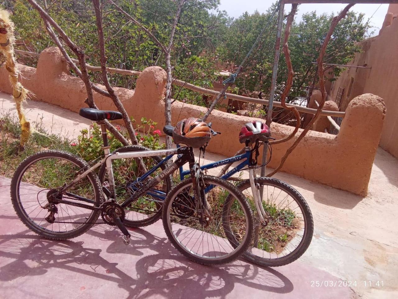 Ecolodge Miss Rose Chez La Famille Boumalne Dış mekan fotoğraf